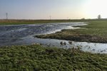 Perceel ter grootte van een voetbalveld aangelegd in 2007