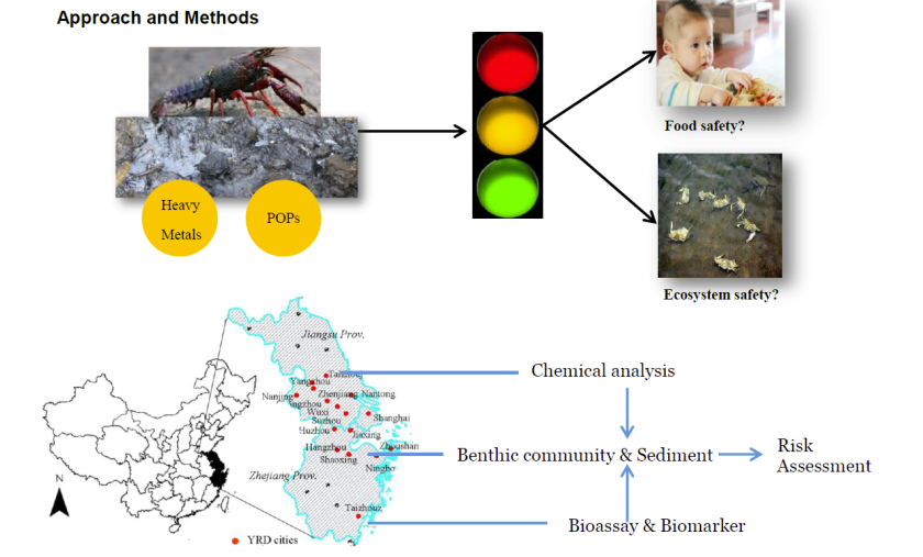 Approach and methods Approach and methods