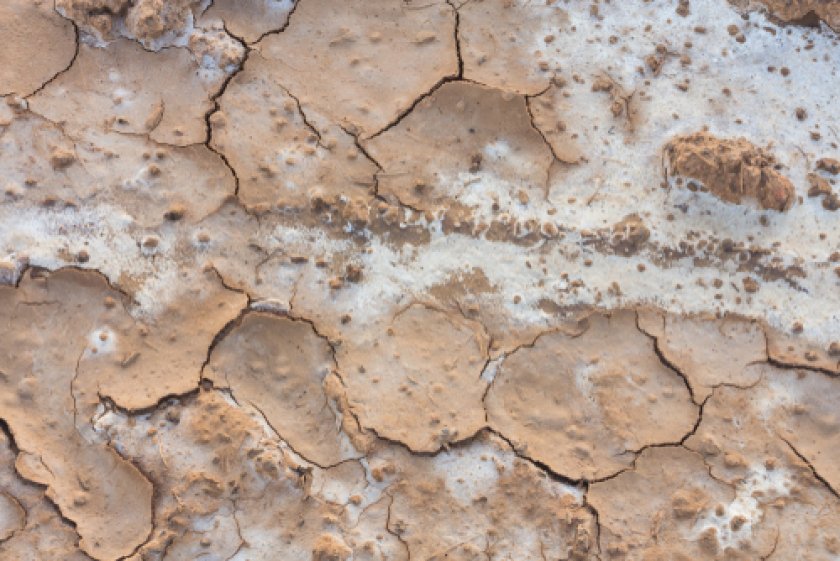 Klimaat verhaal 5: Zoute landbouw Klimaat verhaal 5: Zoute landbouw