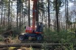 Weighing Douglas tree Weighing Douglas tree
