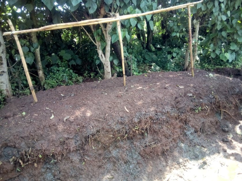 Compost preparation by farmers using the heap method. The perforated bamboo tubes are used to sense the heat level in the compost. Compost preparation by farmers using the heap method. The perforated bamboo tubes are used to sense the heat level in the compost.