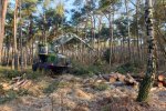 Harvester at work in Scots pine forest Harvester at work in Scots pine forest