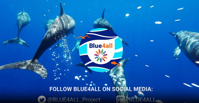 Blue4all videolink