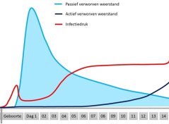 Klik op de afbeelding voor een overzicht van infectiedruk en weerstand van het pasgeboren kalf