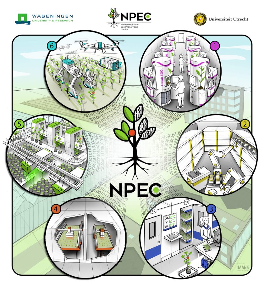 NPEC-Visual-update-2022.jpg NPEC-Visual-update-2022.jpg