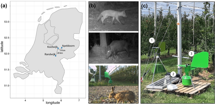 Figure 1. Study setup: (a) the three sampling locations, showing Proeftuin Randwijk (orchard), Radio Kootwijk (forest) and Apeldoorn (solar park). (b) Images from the camera traps showing (from top to bottom) a fox at Apeldoorn, a wild boar at Radio Kootwijk and a hare at Randwijk, all of which were also detected via the air filters. (c) The three air samplers used, which were commercially available. Figure 1. Study setup: (a) the three sampling locations, showing Proeftuin Randwijk (orchard), Radio Kootwijk (forest) and Apeldoorn (solar park). (b) Images from the camera traps showing (from top to bottom) a fox at Apeldoorn, a wild boar at Radio Kootwijk and a hare at Randwijk, all of which were also detected via the air filters. (c) The three air samplers used, which were commercially available.