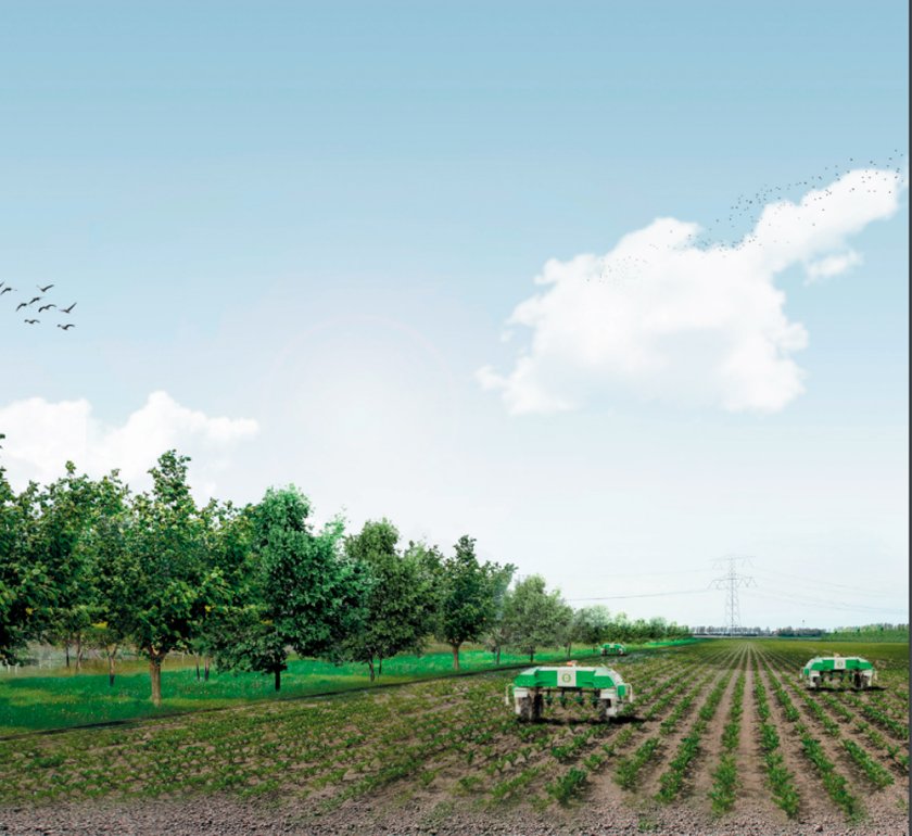 Agroforestry in het Zeeuwse landschap Agroforestry in het Zeeuwse landschap