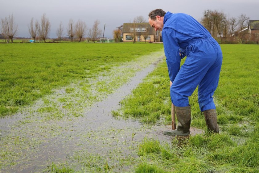Figuur 2: Veehouder probeert de verstopte greppelafvoer naar de sloot te heropenen.  Figuur 2: Veehouder probeert de verstopte greppelafvoer naar de sloot te heropenen.