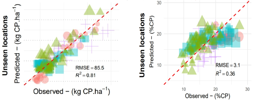 Figuur 1. De relatie tussen gemeten en voorspelde RE opbrengst (links) en RE gehalte (rechts). RMSE betreft de afwijking voor RE-opbrengst in kg.ha-1 en RE-gehalte in g.kg-1.