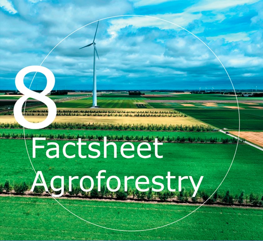 Factsheet Agroforestry 8 Factsheet Agroforestry 8
