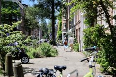 Climate-resilient urban trees Climate-resilient urban trees