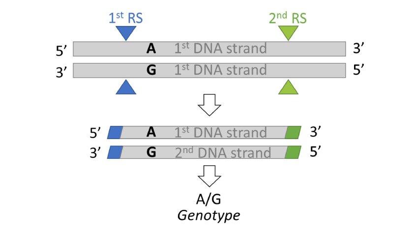 Figure_2_vf.jpg