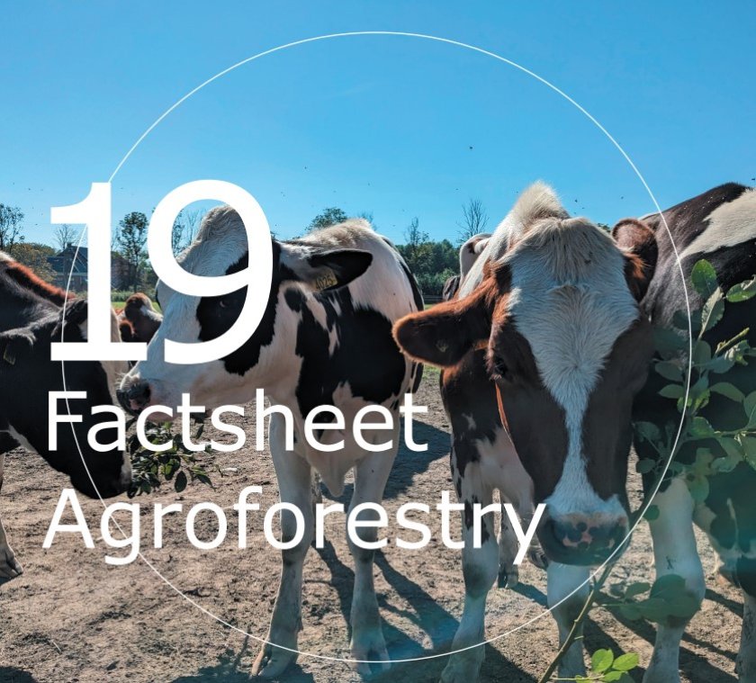 Factsheet Agroforestry 19 Factsheet Agroforestry 19