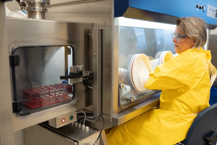 Diagnostics and research is possible within the guidelines of veterinary Biosafety Level 4 (vBSL4) and human Biosafety Level 3 (hBSL3).