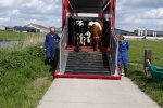 Dit voorjaar startte deze proef en gingen de pinken de weide in.