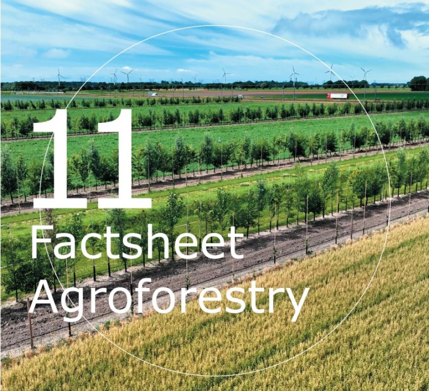 Factsheet Agroforestry 11 Factsheet Agroforestry 11