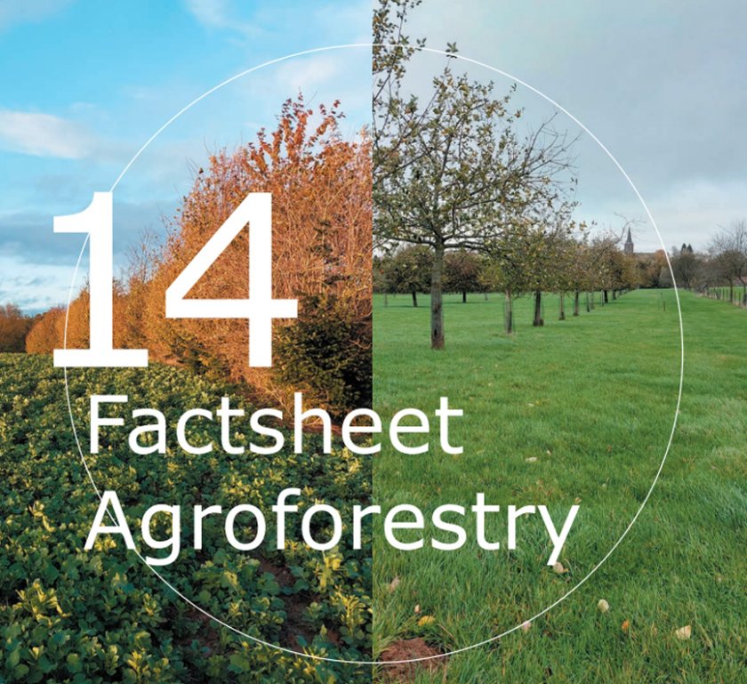 factsheet 14.jpg factsheet 14.jpg