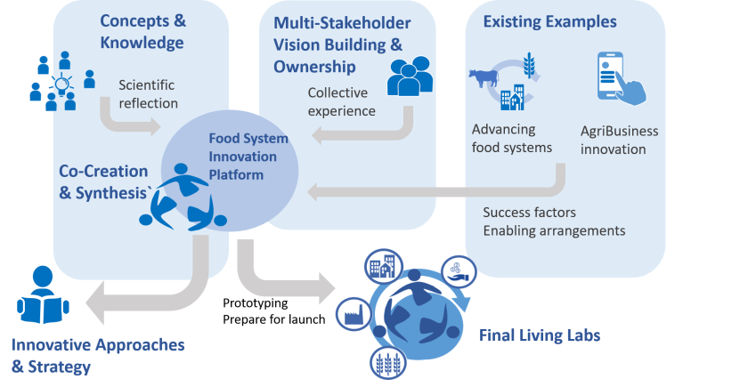Information flow throughout the project Information flow throughout the project