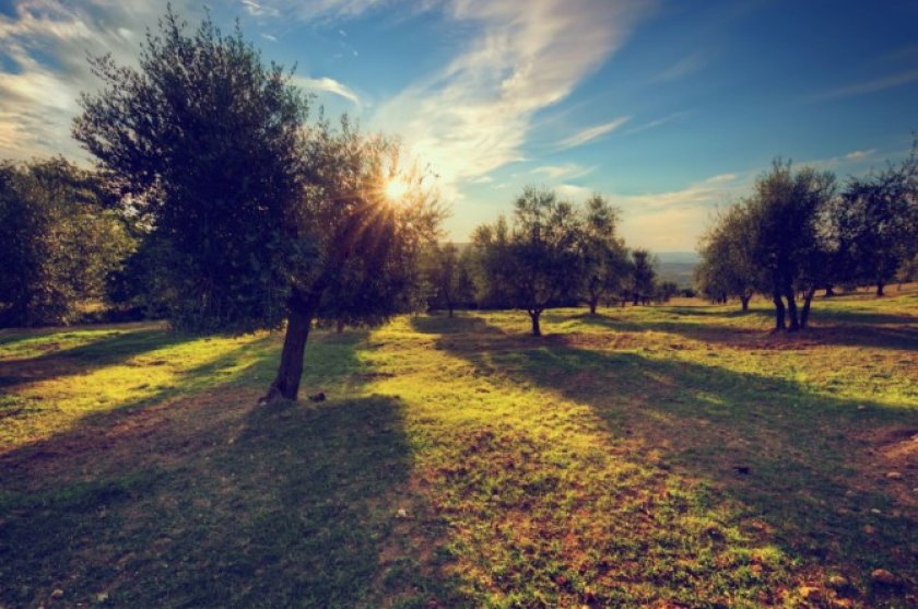Foto door Bedneyimages (Freepik)  Foto door Bedneyimages (Freepik)