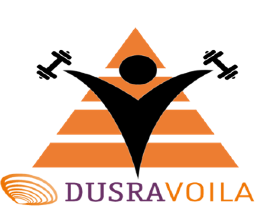 Logo Voila.png