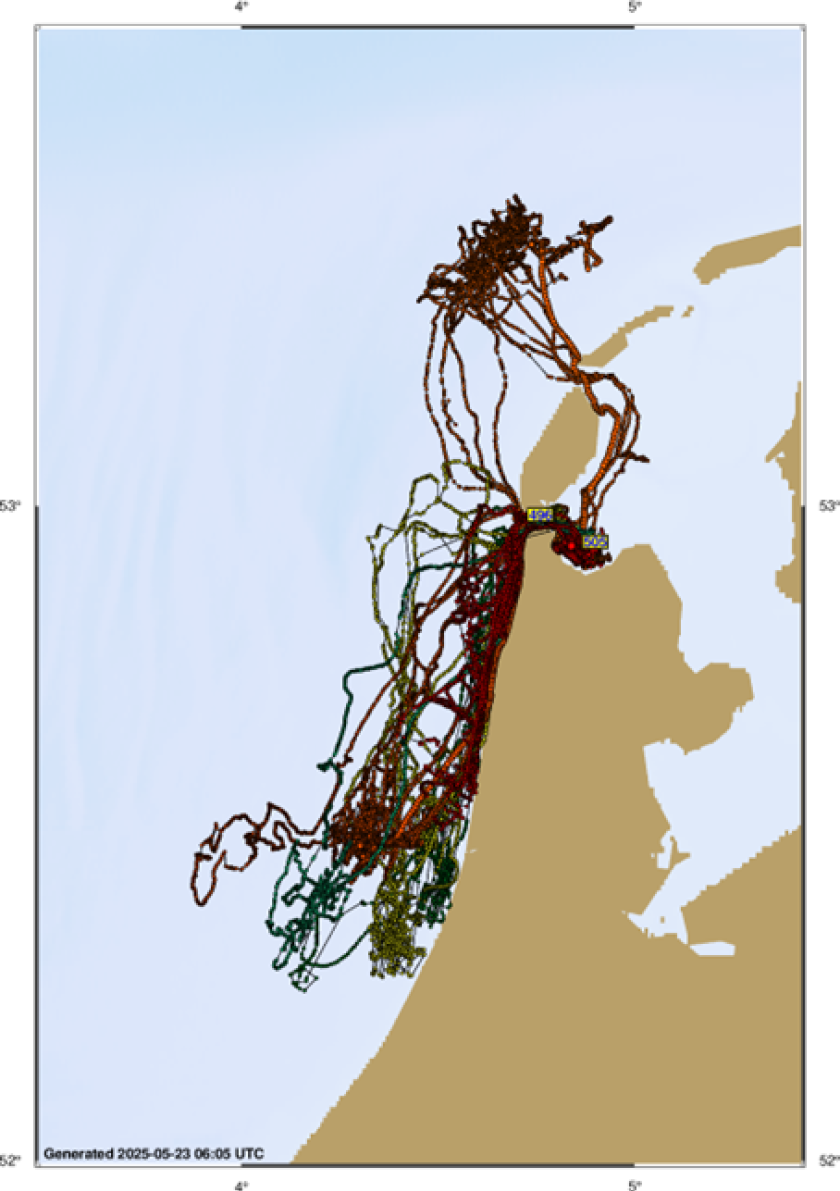 Figuur 1: Tracks van de zes gezenderde zeehonden, credits: Wageningen Marine Research.