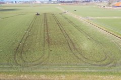 DJI_0182.JPG