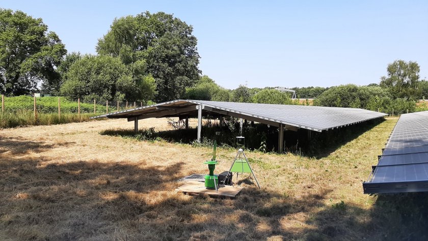 One of the research sites, a solar park near Apeldoorn One of the research sites, a solar park near Apeldoorn