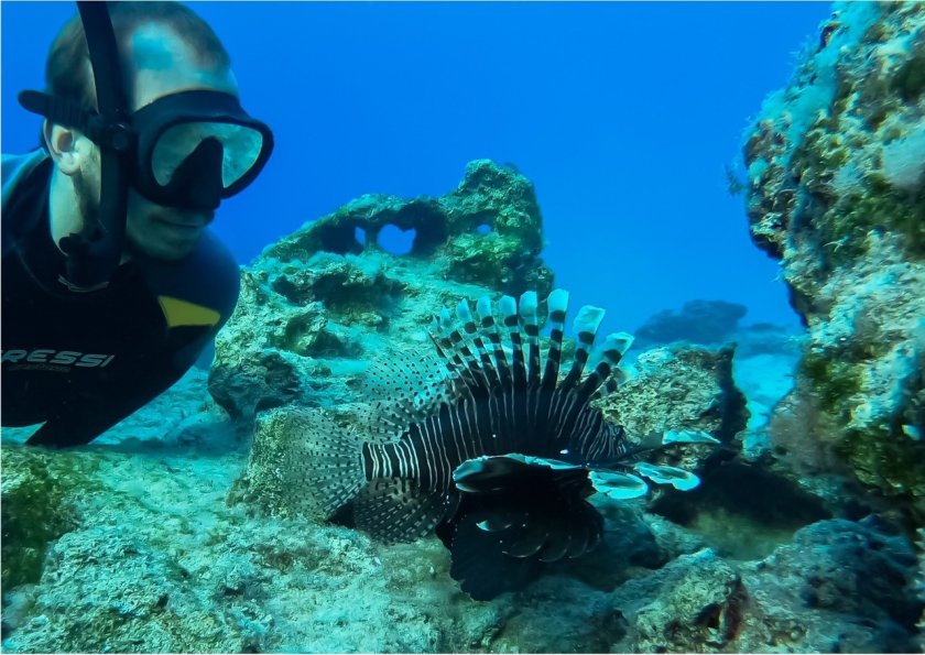 Davide Bottacini studies lionfish and fish diversity around Cyprus  Davide Bottacini studies lionfish and fish diversity around Cyprus