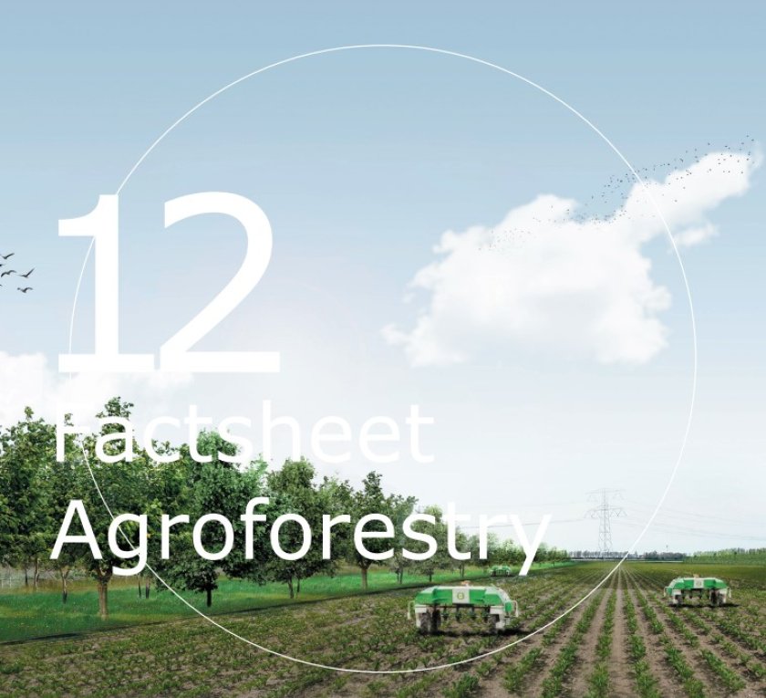 Factsheet Agroforestry 12 Factsheet Agroforestry 12