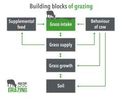 buildingblocks.png