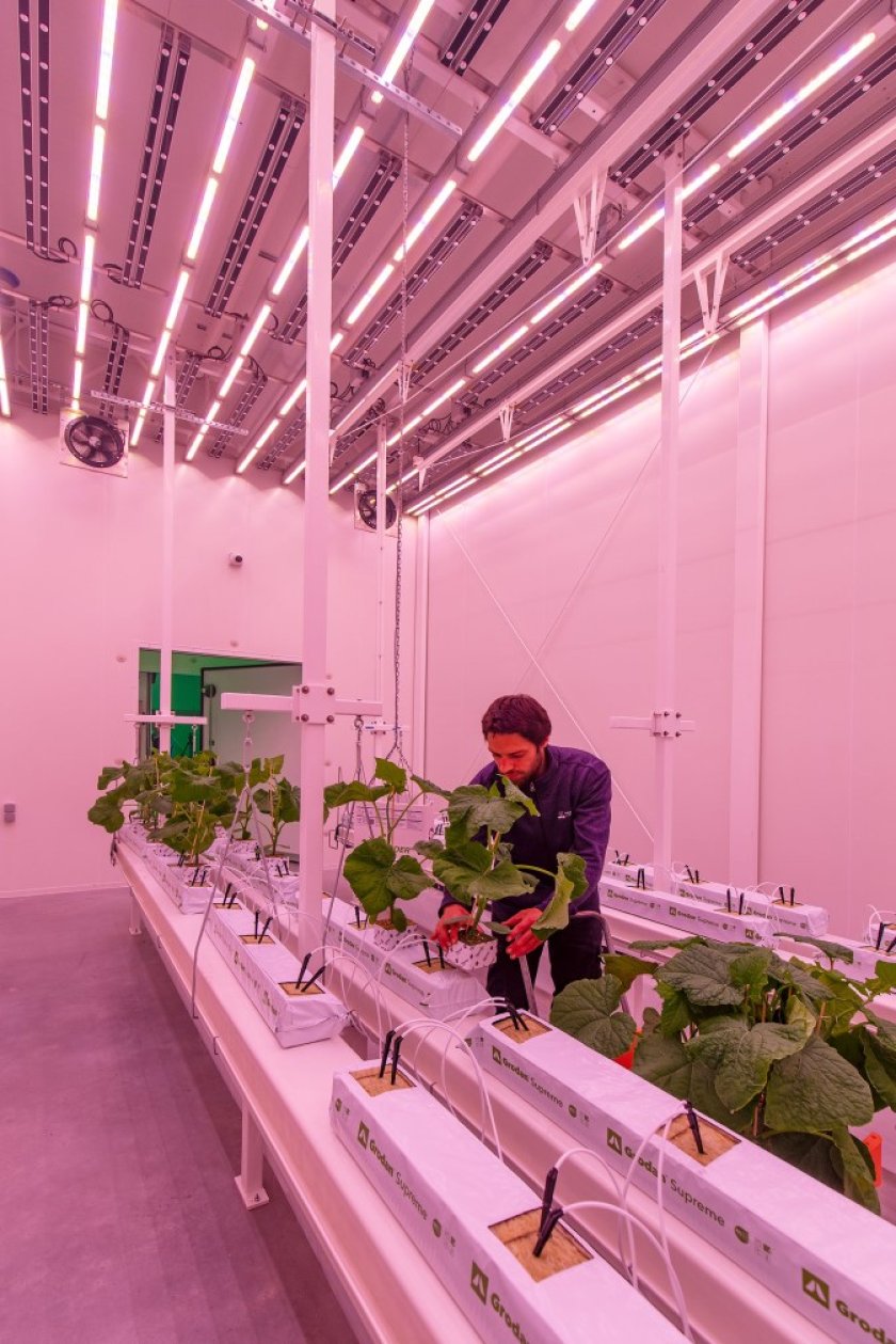 0028_20200617W-00031.jpg 0028_20200617W-00031.jpg