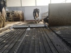 This spring, adjustments were made for this test in the environmental barn