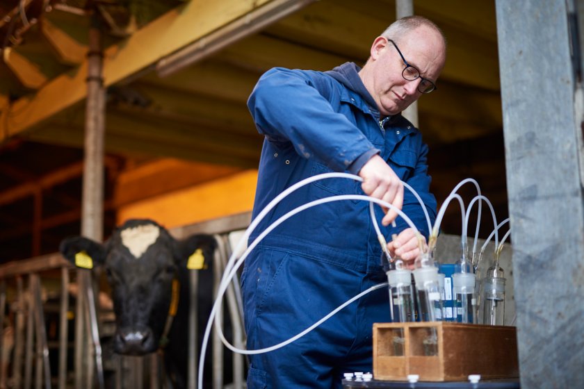 Onderzoeker Hendrik Jan van Dooren sluit de flesjes aan waarmee ammoniak gemeten wordt   Onderzoeker Hendrik Jan van Dooren sluit de flesjes aan waarmee ammoniak gemeten wordt