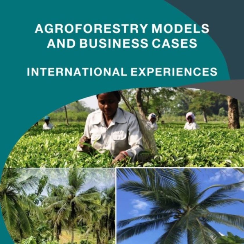 Inspiratiedocument Agroforestry Inspiratiedocument Agroforestry