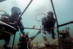3. Construction of an artificial coral reef in Kenya - photo Ewout Knoester 3. Construction of an artificial coral reef in Kenya - photo Ewout Knoester