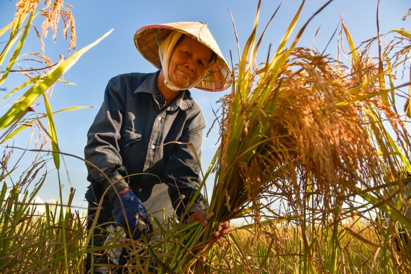 Klimaat verhaal 3: Deltaplan Vietnam Klimaat verhaal 3: Deltaplan Vietnam