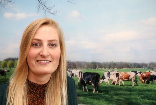 Cindy Klootwijk (28) became a grassland and pasture researcher at Wageningen Livestock Research this summer. She received her PhD in June for her study "Keys to sustainable grazing" on sustainability and outdoor grazing. - Photo: Henk Riswick
