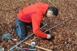 Soil investigation before tree harvesting Soil investigation before tree harvesting