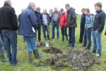 Proefkuil graven om de bodemkwaliteit van de grasmat te onderzoeken
