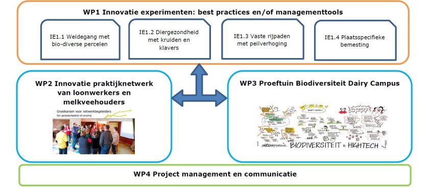 Klik op de afbeelding voor een vergroting van een overzicht van de projectaanpak Klik op de afbeelding voor een vergroting van een overzicht van de projectaanpak