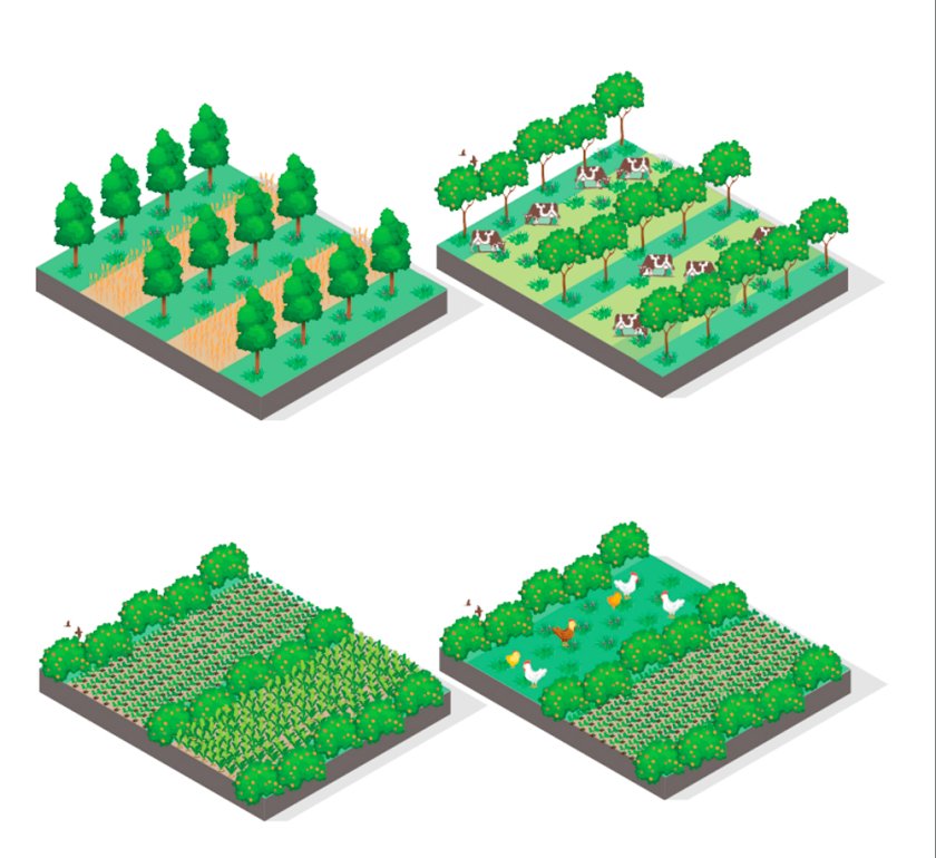 Verkenning naar de potentie van agroforestry als oplossingsrichting voor de stikstofproblematiek in de provincie Zeeland Verkenning naar de potentie van agroforestry als oplossingsrichting voor de stikstofproblematiek in de provincie Zeeland