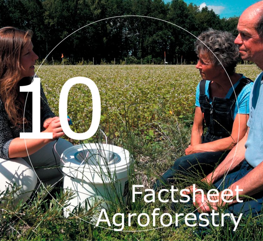 Factsheet Agroforestry 10 Factsheet Agroforestry 10
