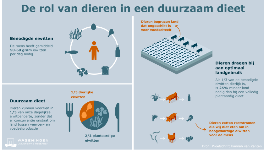 Kringlooplandbouw_eiwitten_NL.png Kringlooplandbouw_eiwitten_NL.png