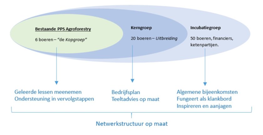 Organigram van de netwerkstructuur op maat