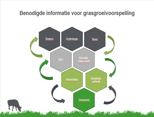 afebeeldinggrasopname.png