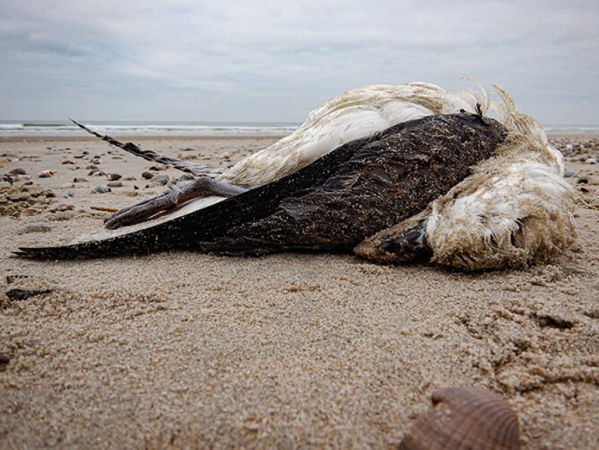 Kuehn-B03829 670.jpg Kuehn-B03829 670.jpg