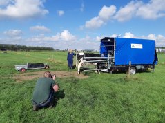  Two mobile units were also placed in the meadow for this study. Project leader Cindy Klootwijk keeps an eye on things.