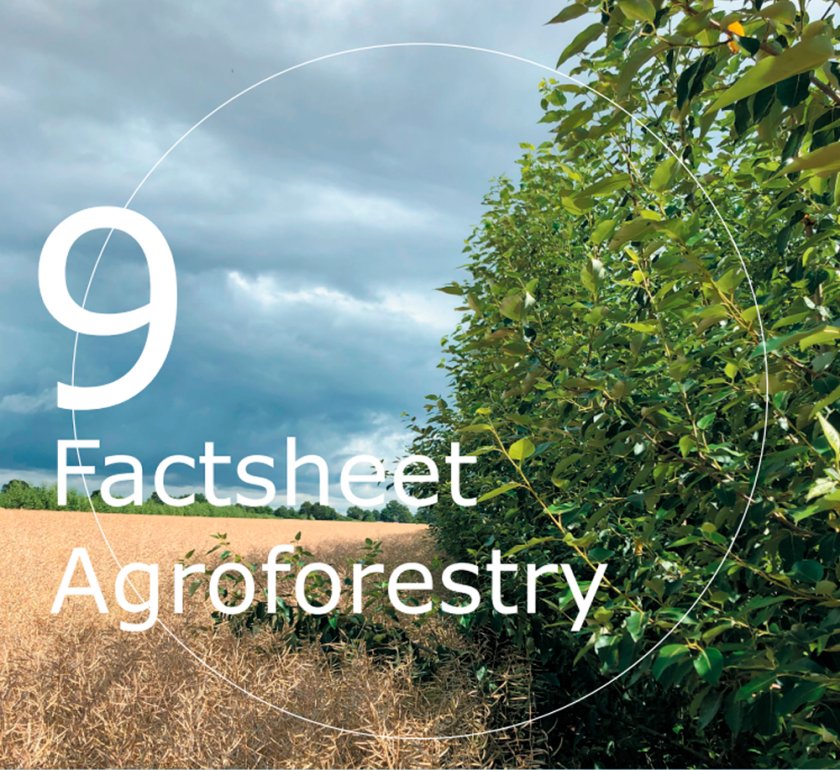 Agroforestry fact 9 Agroforestry fact 9