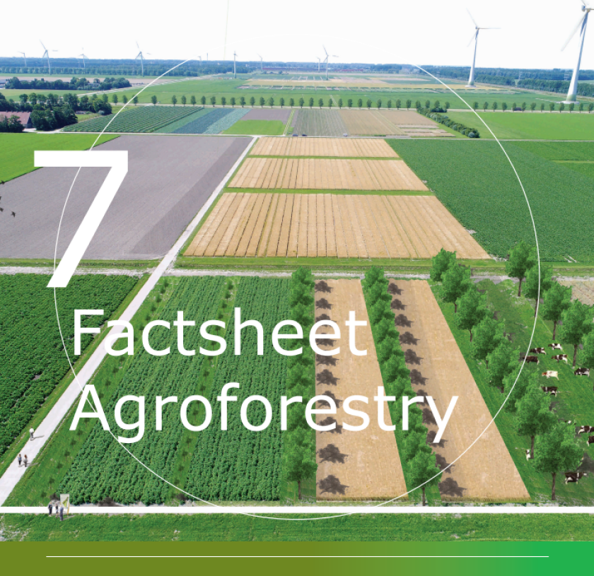 Agroforestry Factsheet 7 Agroforestry Factsheet 7