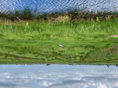 The water and soil system is a guiding principle in the spatial planning of the Netherlands. Photo: Laag Nederland 2050 